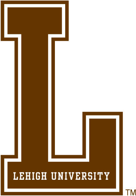 Lehigh Mountain Hawks 0-Pres Alternate Logo v2 iron on transfers for clothing